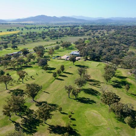 Quirindi Sunflower Motor Inn 외부 사진