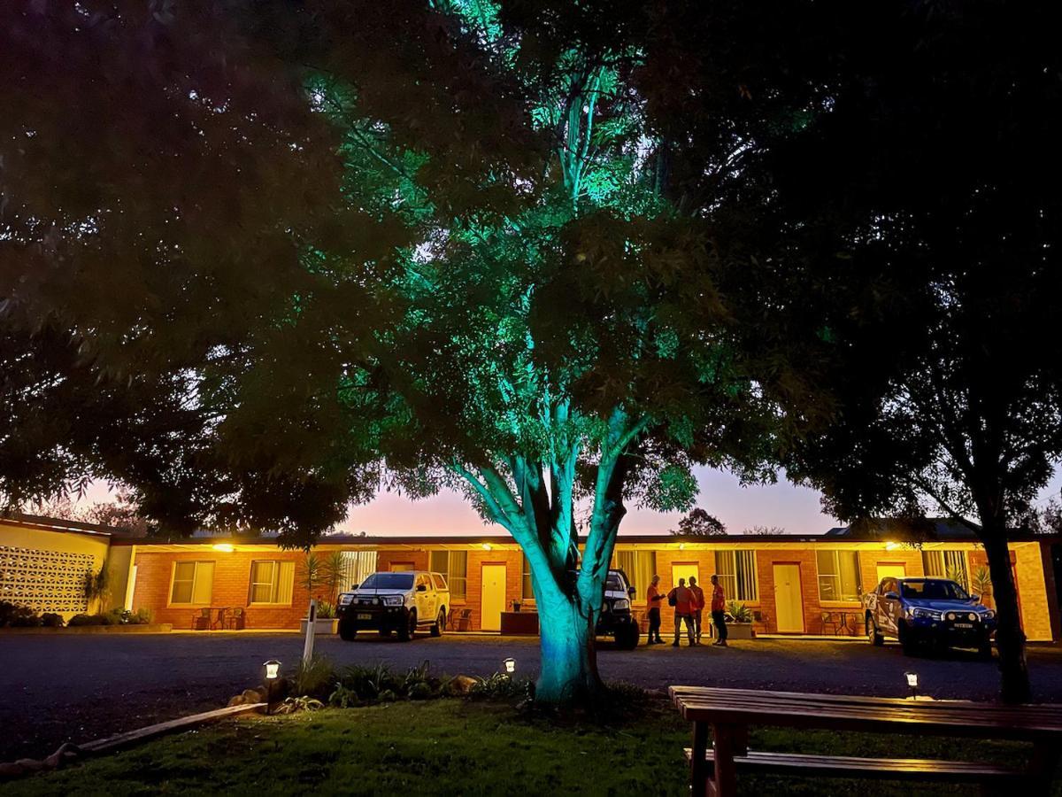 Quirindi Sunflower Motor Inn 외부 사진