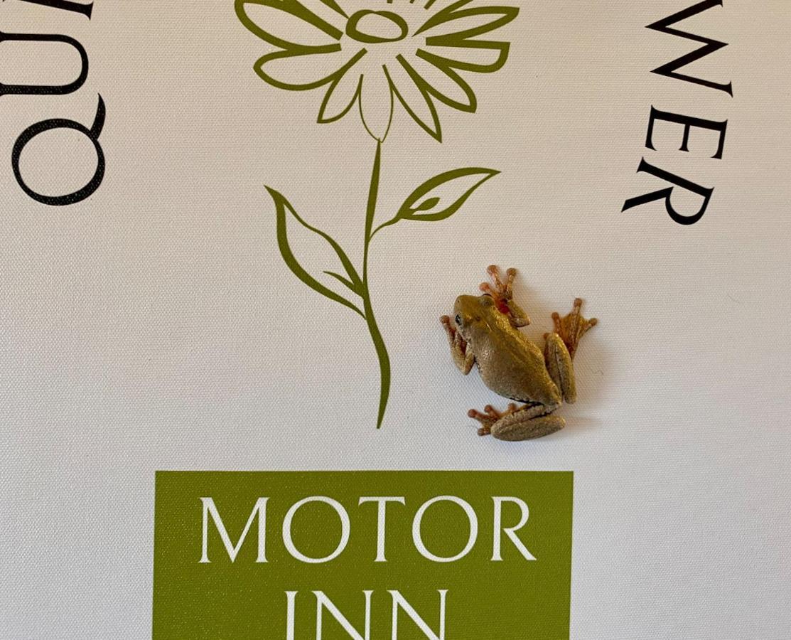 Quirindi Sunflower Motor Inn 외부 사진
